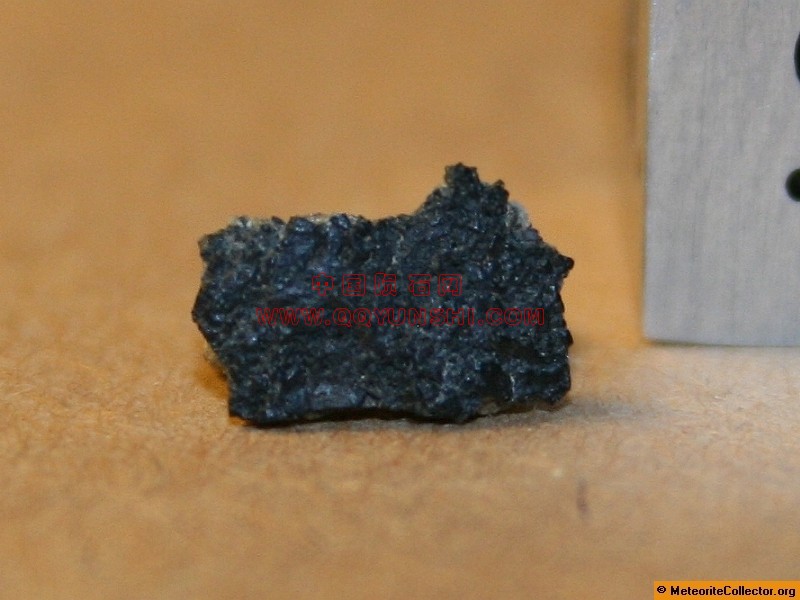 44782_6870_2588[1].jpg