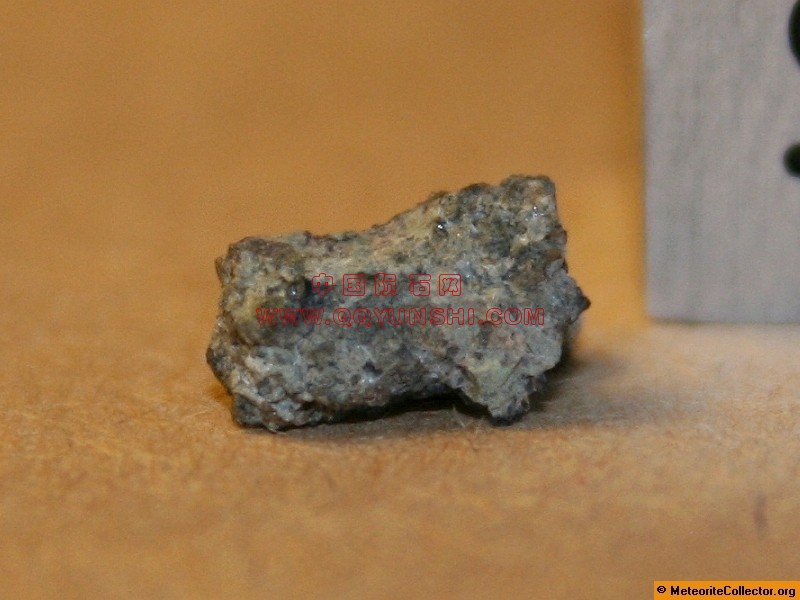 44782_6869_2588[1].jpg