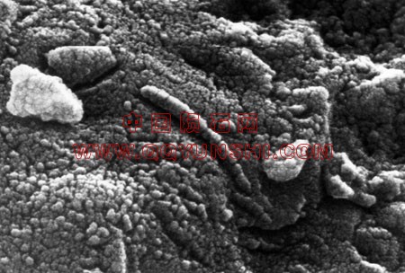 ALH84001-EM1[1].jpg