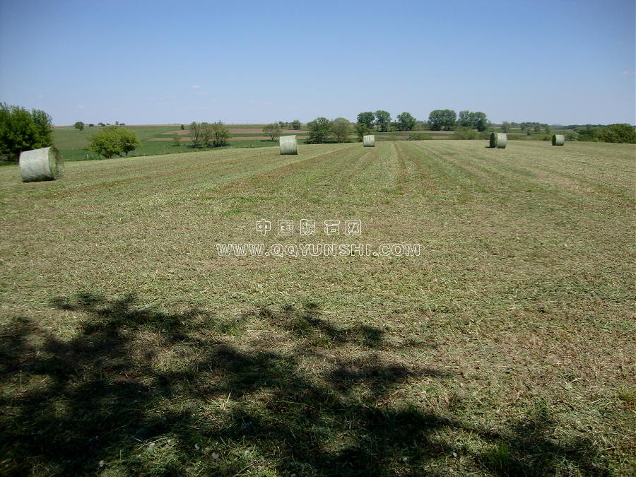 dsc01385bales[1].jpg