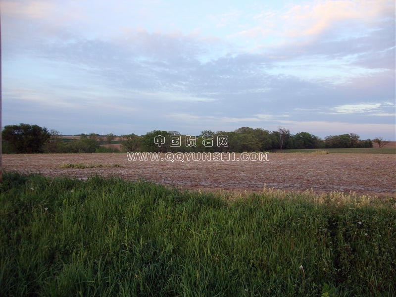 dsc01327farm-day3[1].jpg