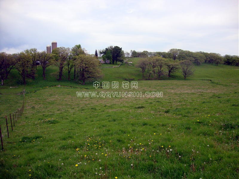 dsc01340farm-day4[2].jpg