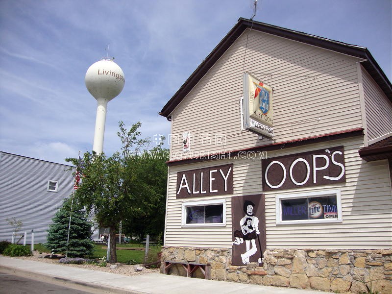 dsc01379alley-oops[1].jpg