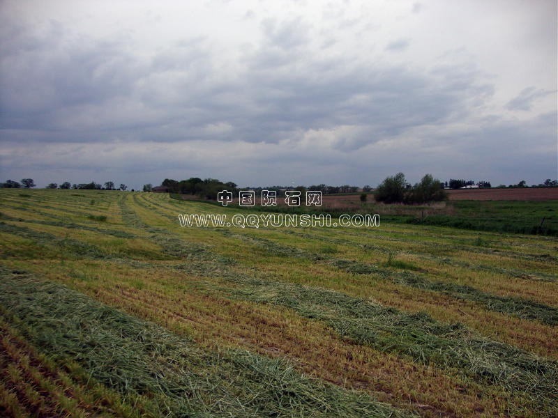 dsc01392farm-wk2[1].jpg