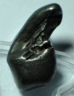 T1Q0W8XXpnXXbVChc4_053147.jpg_310x310[1].jpg