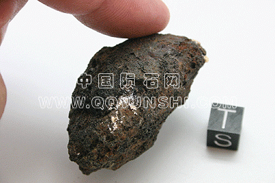 00001mar2009-100[1].gif