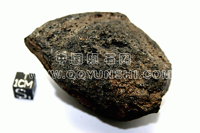 2010may132[1].gif