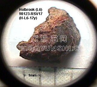 h-l6-17y[1].jpg