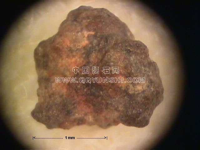 h-l6-27p[1].jpg