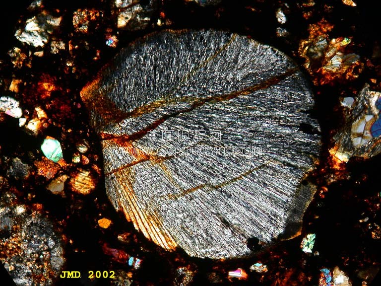 径向辉石球粒从H3球粒陨石棕地（1937）LPNA查看。 Low birefringence pyroxene laths低.jpg
