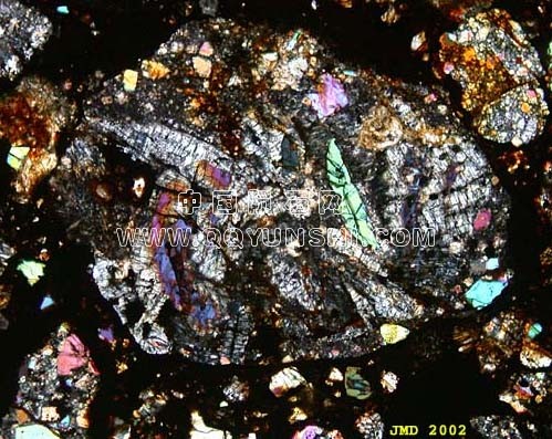 H3球粒陨石棕地的各种陨石球粒-粒子的长度是1100μ.jpg
