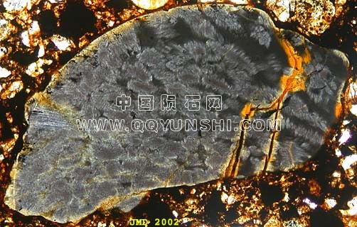 不同的球粒H3球粒陨石布朗菲尔德（第5页）把球粒陨石，1300μ长度。.jpg