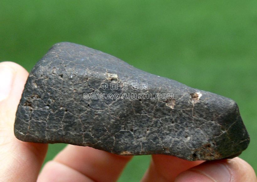 OC-FB-55-08(indiv.09-117.4g)-c[1].jpg