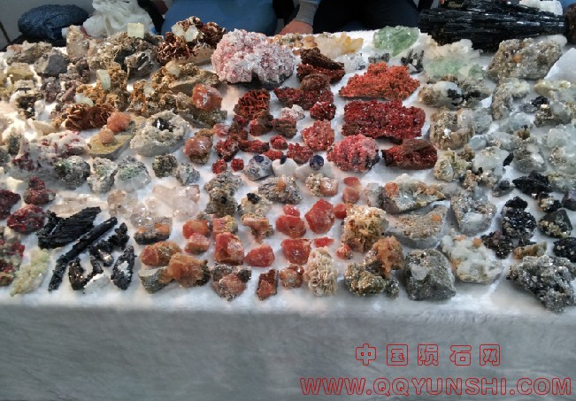 QQ截图20121023135906.jpg