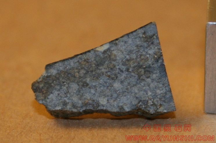 us_homestead_meteorite_125[1].jpg