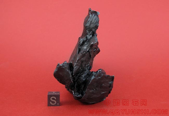 sikhote-alin-623-6-ii.jpg