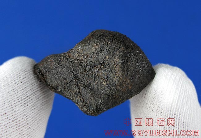 camel-donga-8-9-i.jpg
