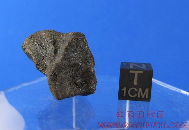 camel-donga-8-9-ii.jpg