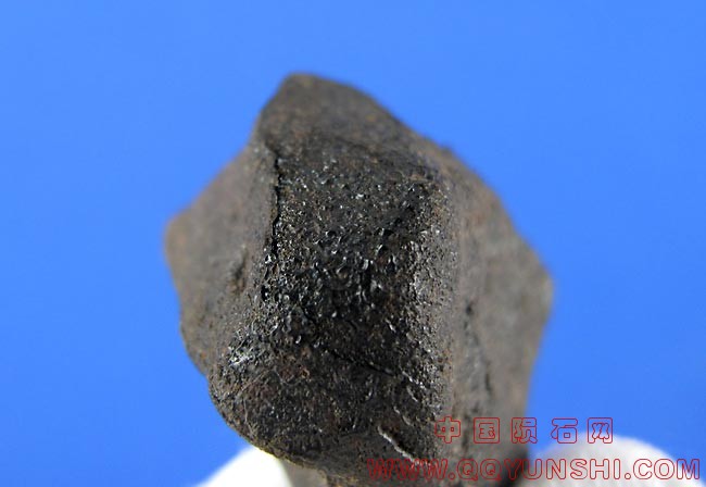 camel-donga-8-9-iii.jpg