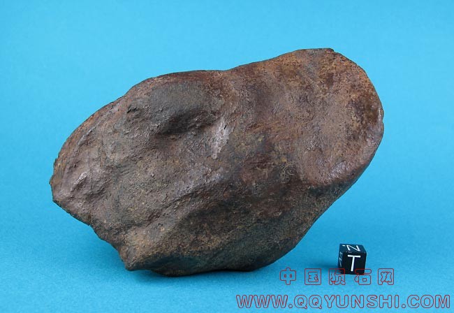 dimmitt-1137-2-ii.jpg