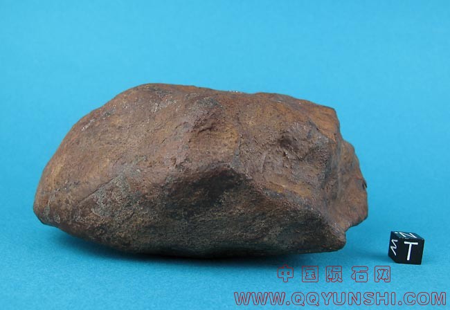 dimmitt-1137-2-iii.jpg