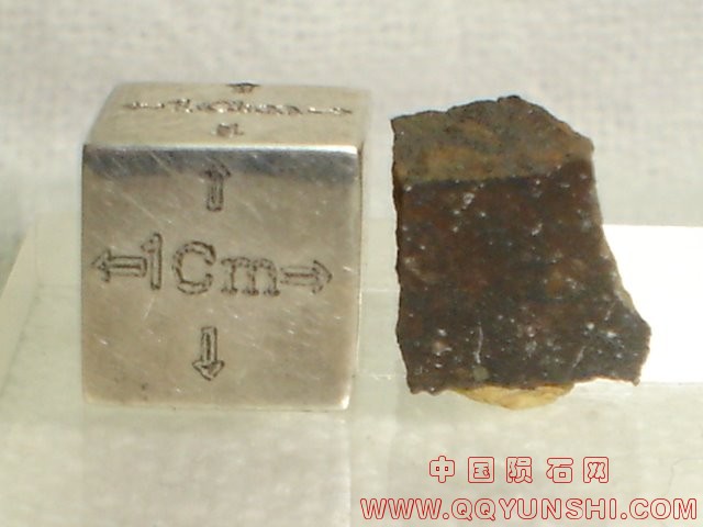 12347_8722_2647.jpg