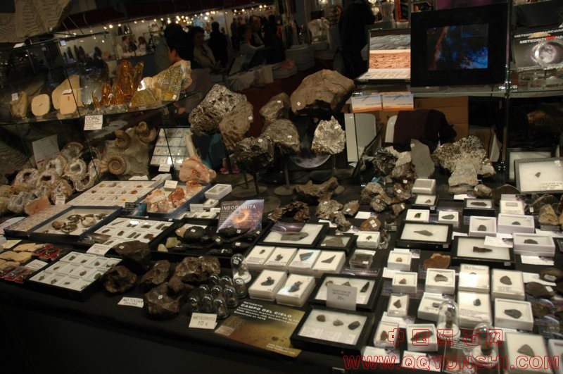 dsc_3431[1].jpg