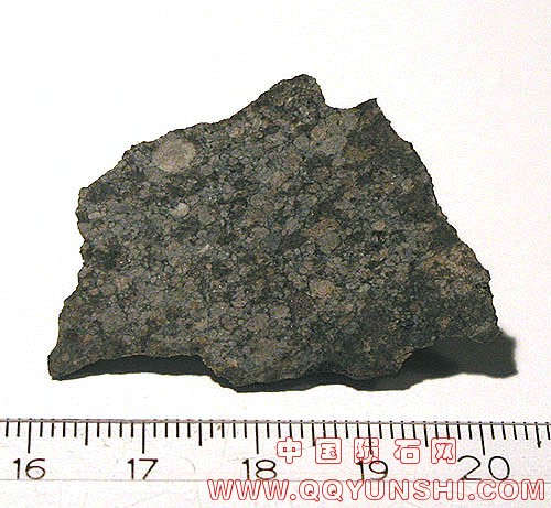 12335_6479_183.jpg