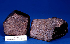 olivenza2.jpg