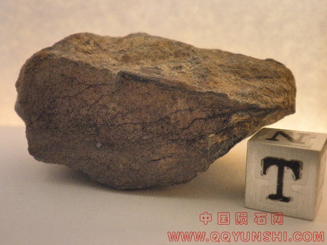 44857_22834_2583.jpg