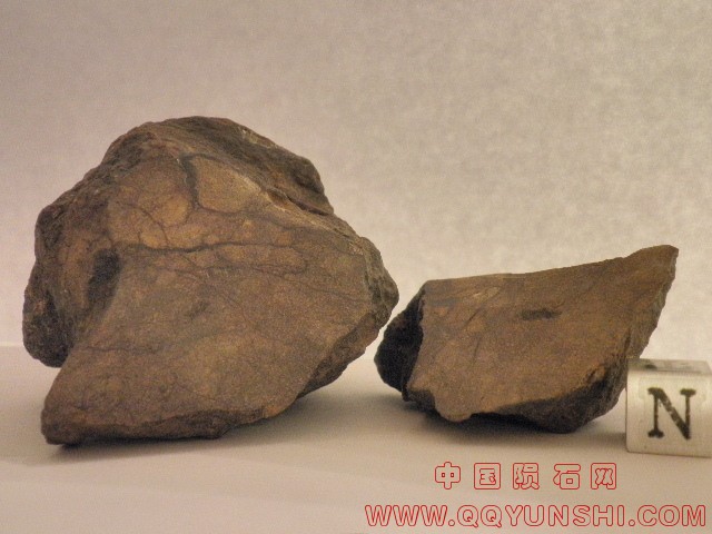 44857_22909_2583.jpg