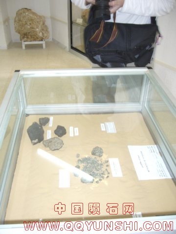 115泰塔博物馆。突尼斯人陨石展示.jpg