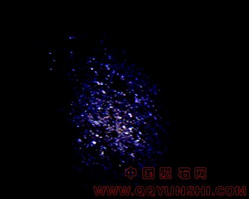 IMG_9231.jpg