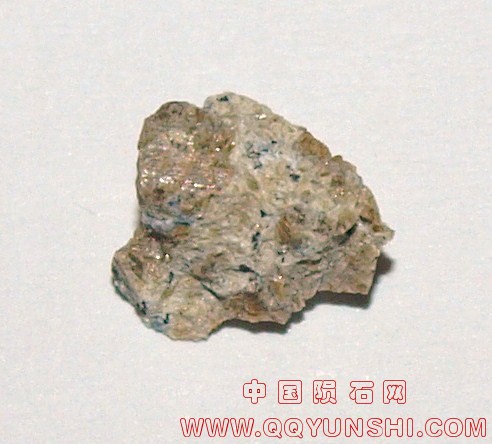 5045_10357_2702.jpg