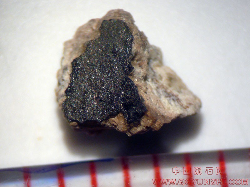 5045_26358_2585.jpg