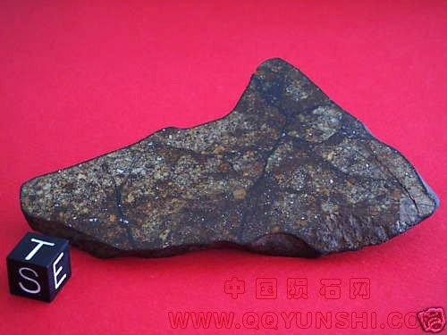 16733_8251_183.jpg