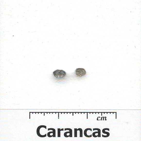 45817_4747_1573.jpg