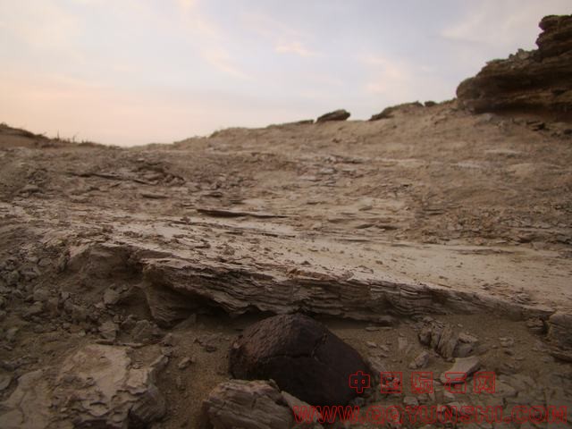 DSC07112.JPG