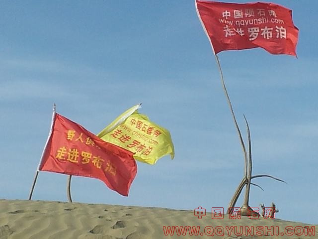 99920121119_160817.jpg