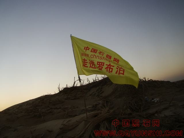 99920121119_160955..JPG
