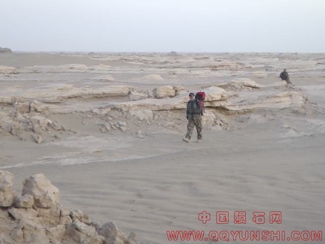 YS2620006.JPG