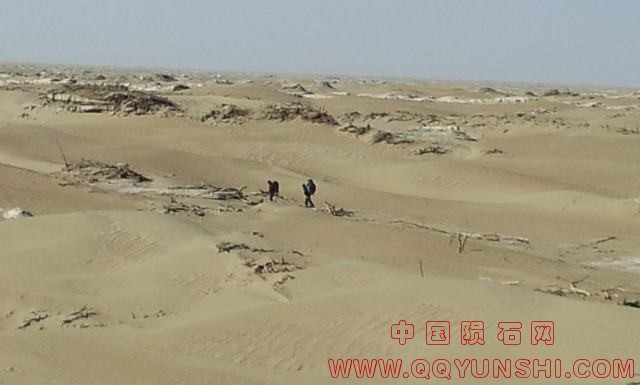 YY20121111_132934.jpg
