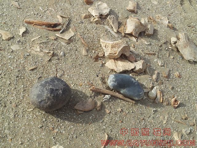 20121119_135303.jpg