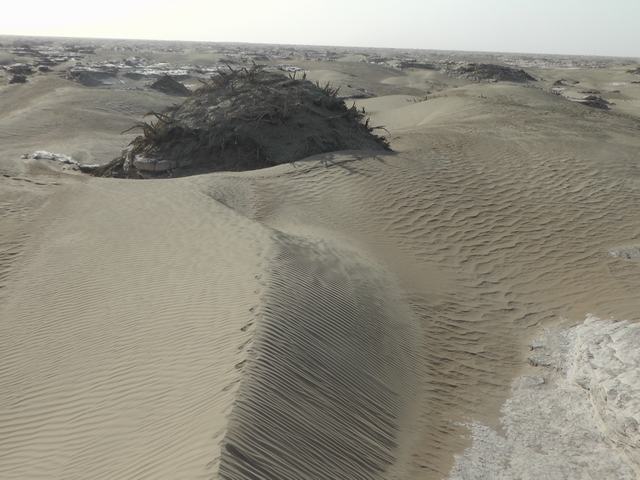 S2560024.JPG