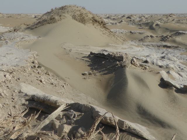 S2590050.JPG