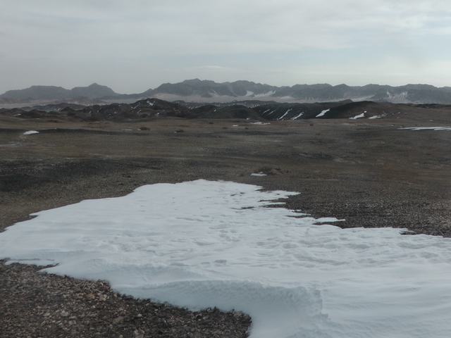 S2640024.JPG