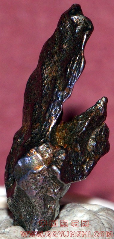 5247_3982_1050.jpg