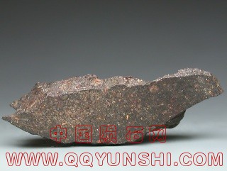 dag229_shinishi.jpg