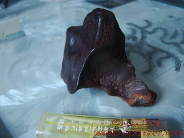 DSC08892.JPG