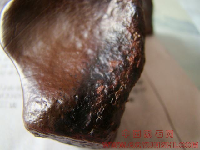 DSC08904.JPG